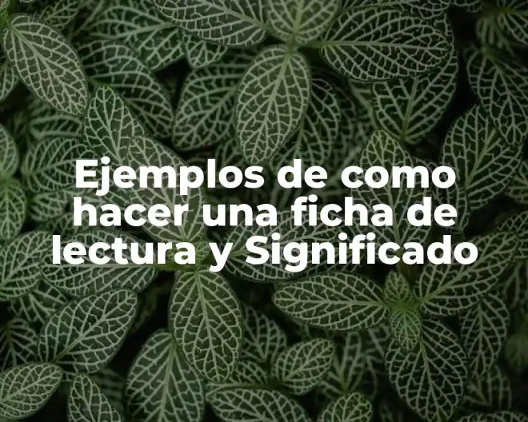Ejemplos de como hacer una ficha de lectura y Significado