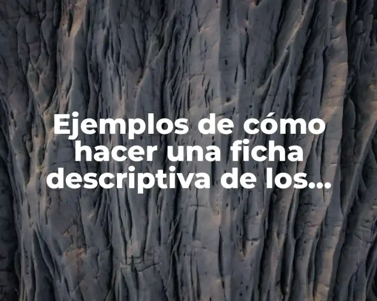 Ejemplos de cómo hacer una ficha descriptiva de los calores
