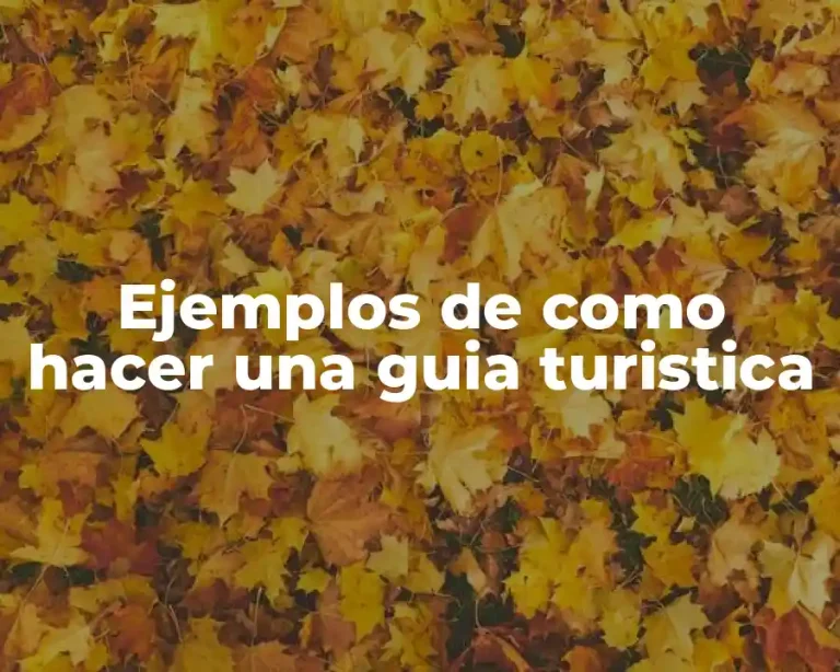 Ejemplos de como hacer una guia turistica