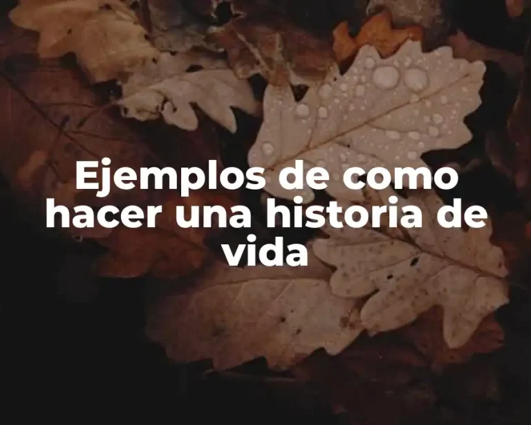 Ejemplos de como hacer una historia de vida