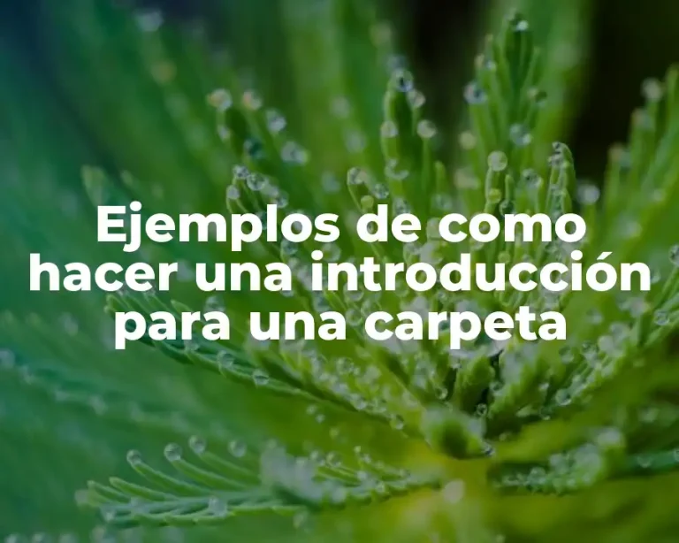 Ejemplos de como hacer una introducción para una carpeta
