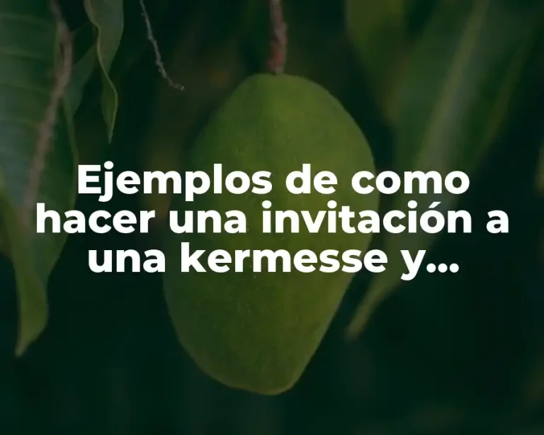 Ejemplos de como hacer una invitación a una kermesse y Significado