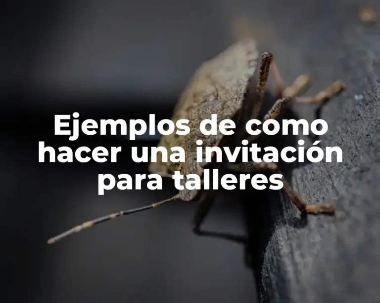 Ejemplos de como hacer una invitación para talleres