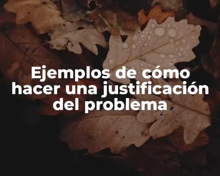 Ejemplos de cómo hacer una justificación del problema