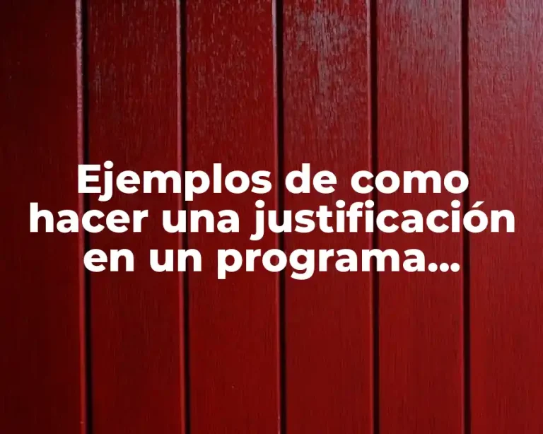Ejemplos de como hacer una justificación en un programa operativo