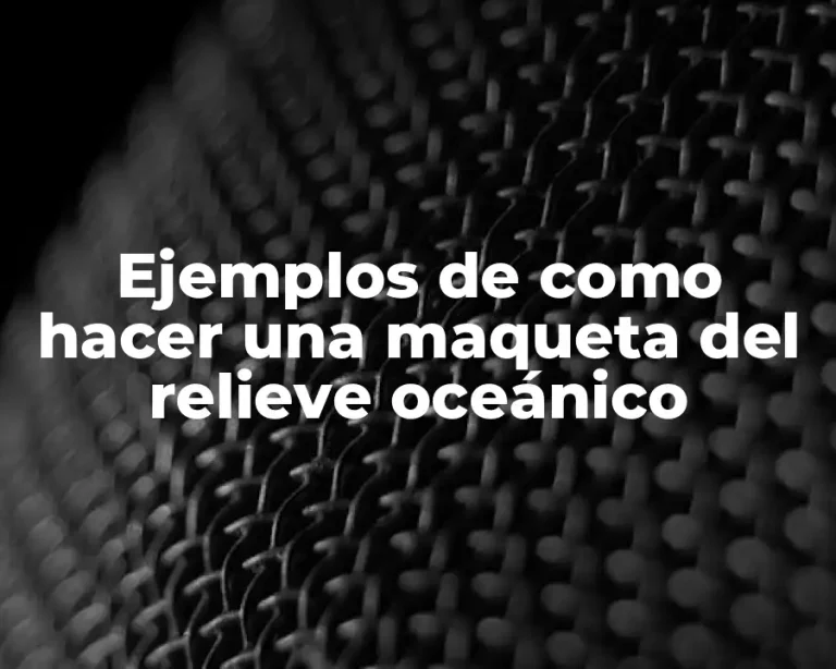 Ejemplos de como hacer una maqueta del relieve oceánico