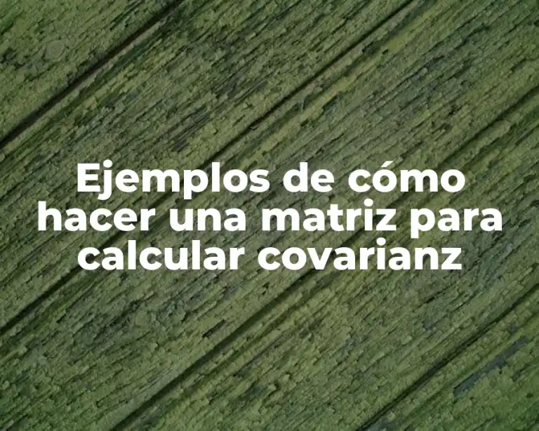 Ejemplos de cómo hacer una matriz para calcular covarianz
