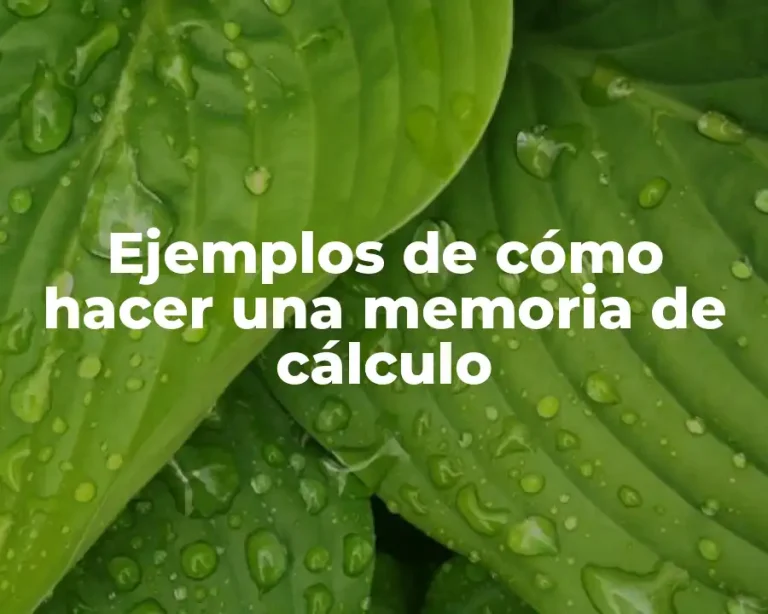 Ejemplos de cómo hacer una memoria de cálculo