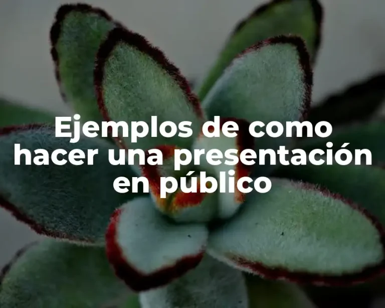 Ejemplos de como hacer una presentación en público