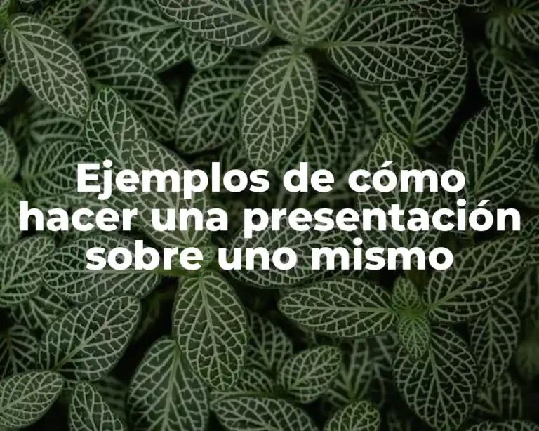 Ejemplos de cómo hacer una presentación sobre uno mismo