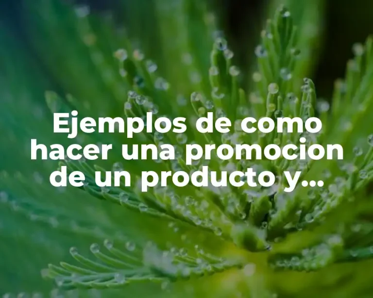 Ejemplos de como hacer una promocion de un producto y Significado