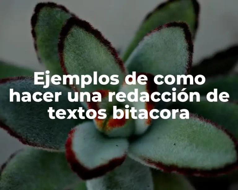 Ejemplos de como hacer una redacción de textos bitacora