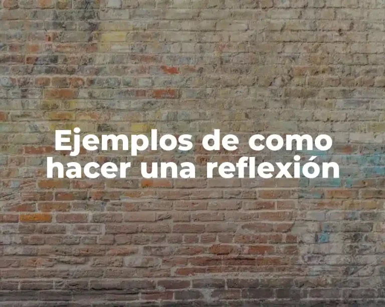 Ejemplos de como hacer una reflexión