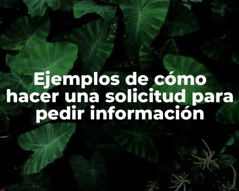 Ejemplos de cómo hacer una solicitud para pedir información