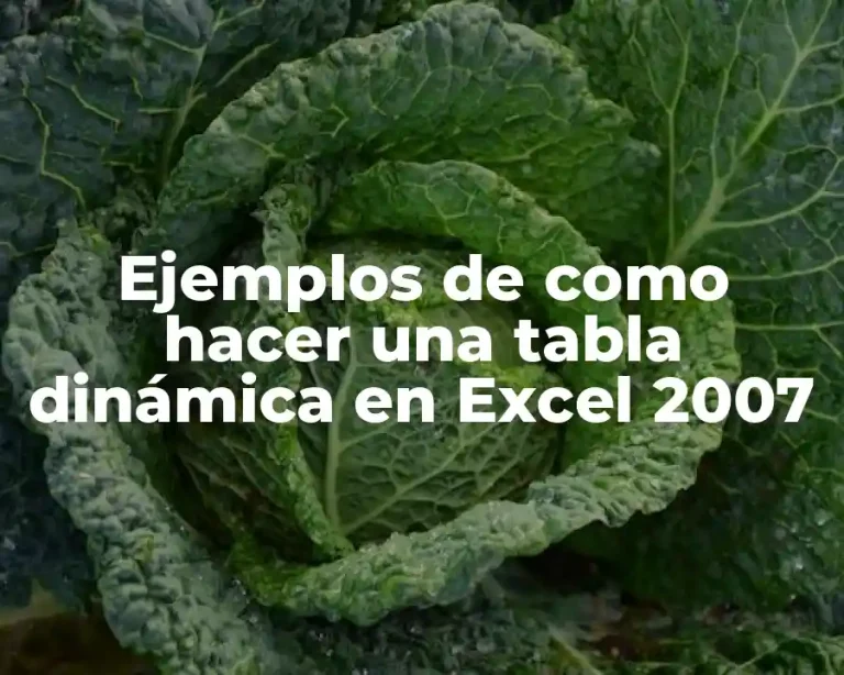 Ejemplos de como hacer una tabla dinámica en Excel 2007