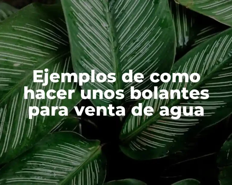 Ejemplos de como hacer unos bolantes para venta de agua