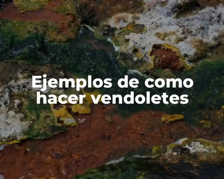 Ejemplos de como hacer vendoletes