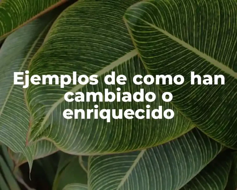 Ejemplos de como han cambiado o enriquecido