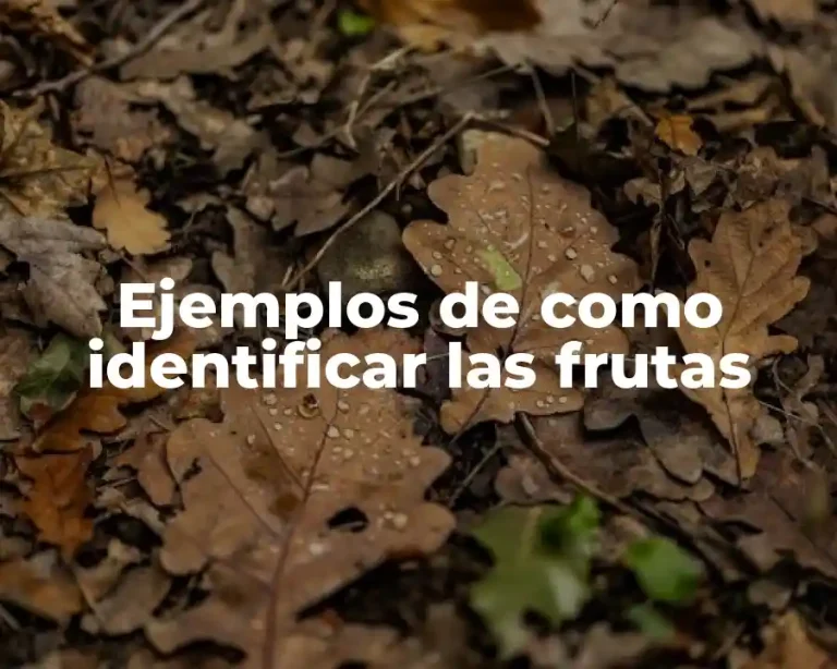 Ejemplos de como identificar las frutas
