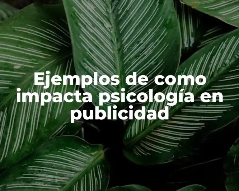Ejemplos de como impacta psicología en publicidad