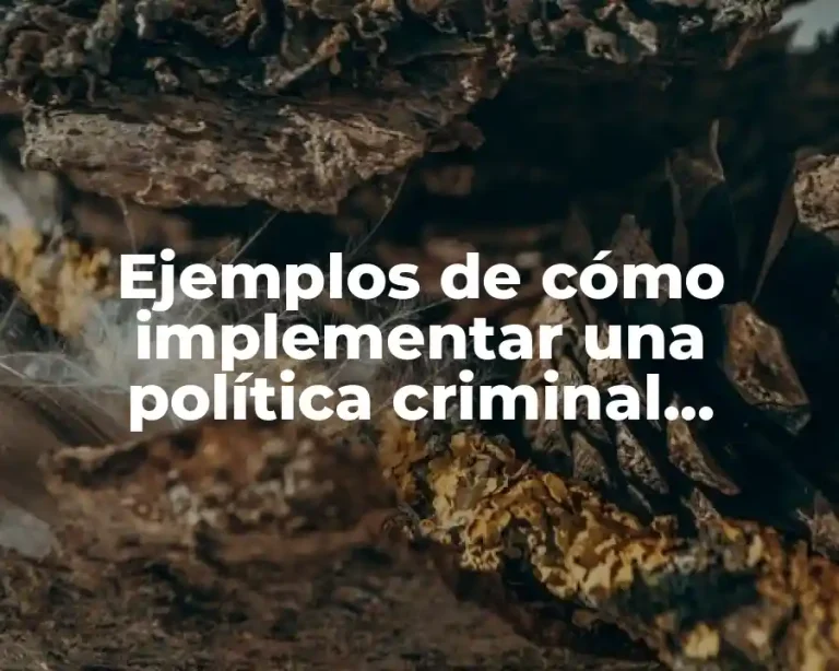 Ejemplos de cómo implementar una política criminal educativa
