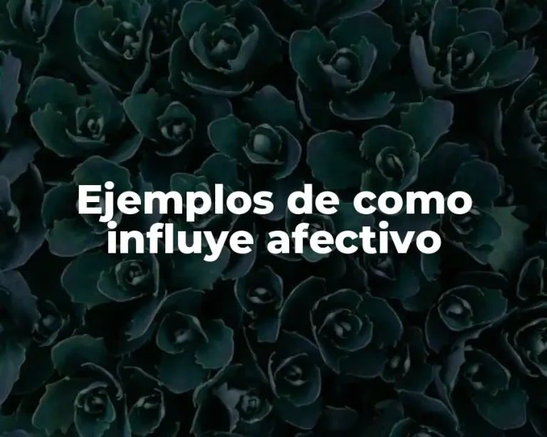 Ejemplos de como influye afectivo