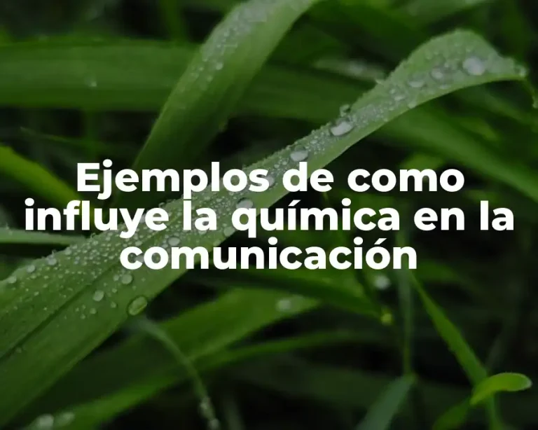 Ejemplos de como influye la química en la comunicación