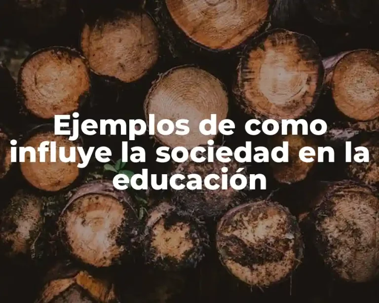 Ejemplos de como influye la sociedad en la educación