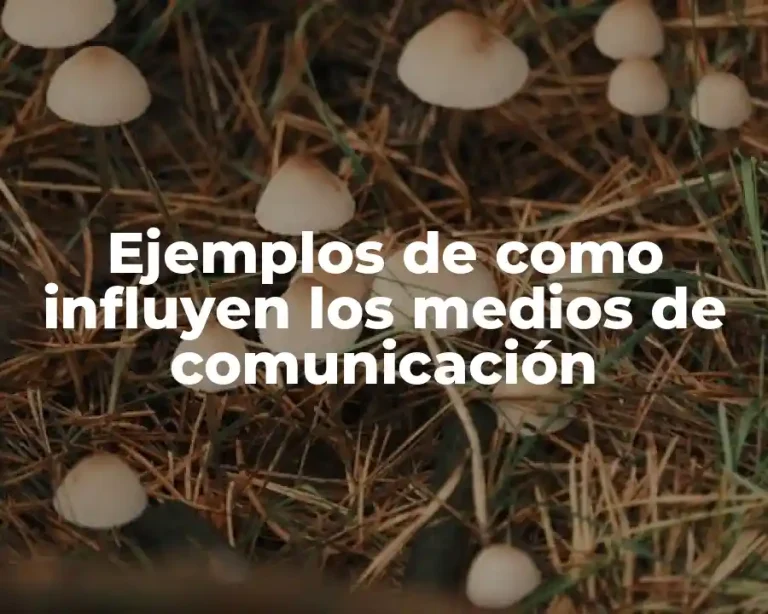Ejemplos de como influyen los medios de comunicación