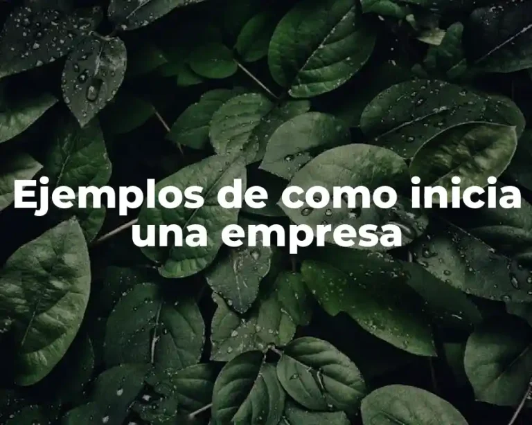 Ejemplos de como inicia una empresa