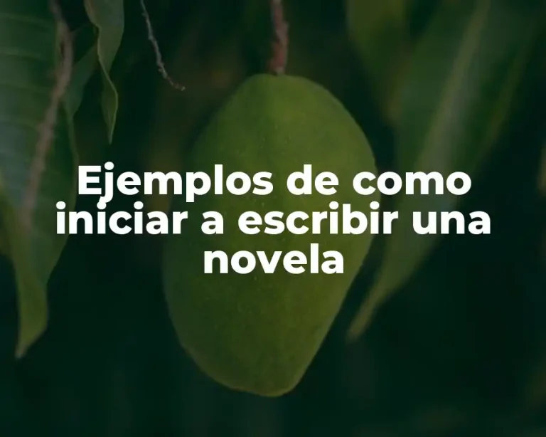 Ejemplos de como iniciar a escribir una novela