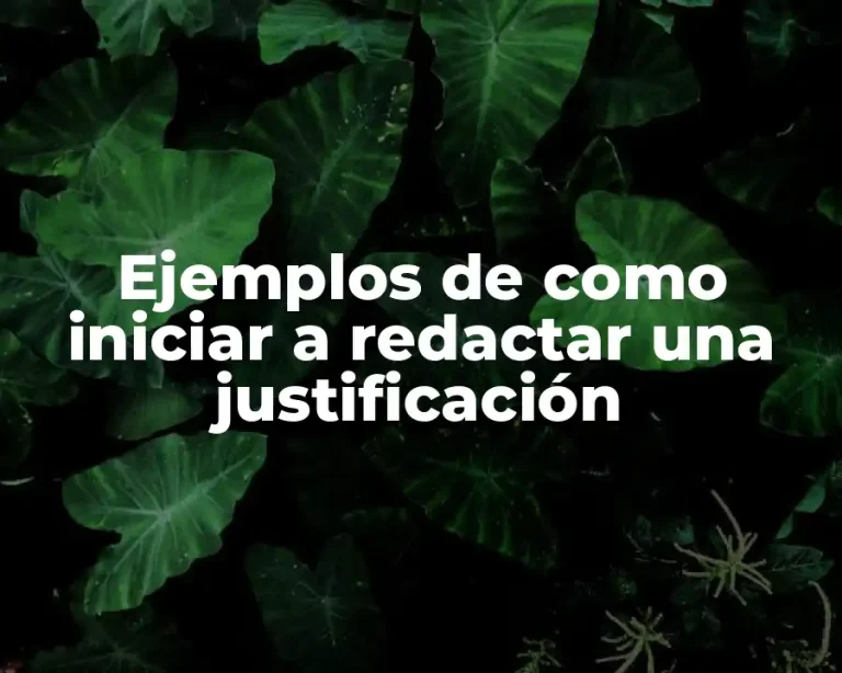 Ejemplos de como iniciar a redactar una justificación