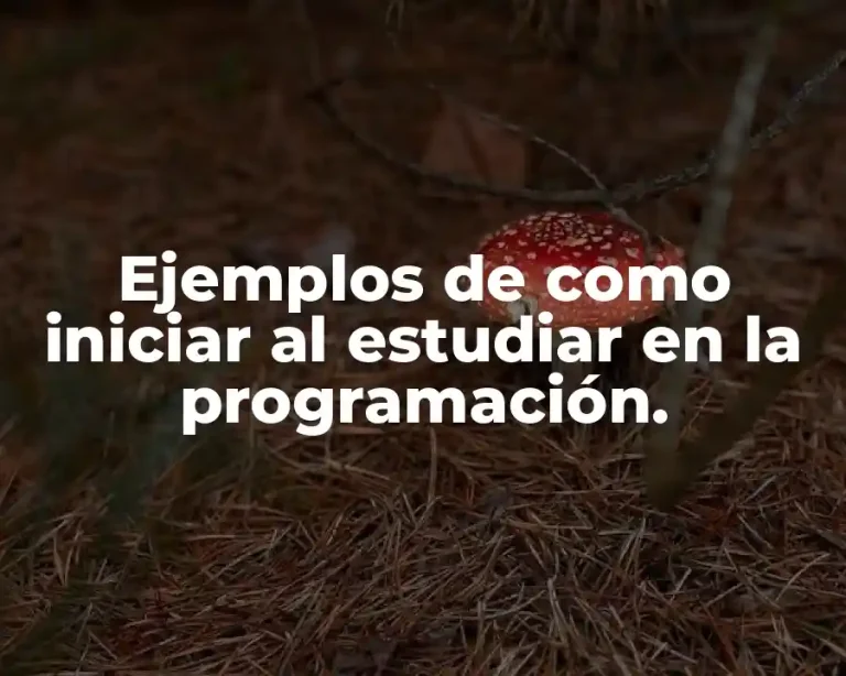 Ejemplos de como iniciar al estudiar en la programación.