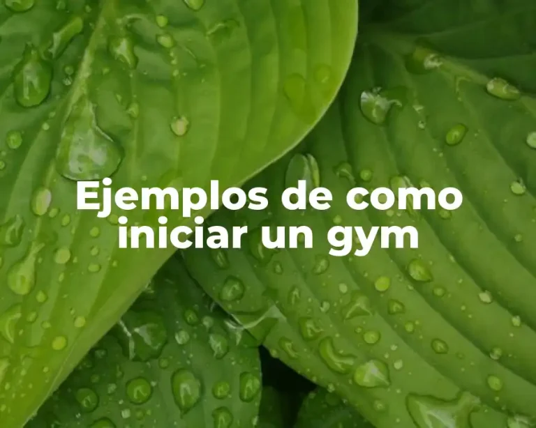 Ejemplos de como iniciar un gym
