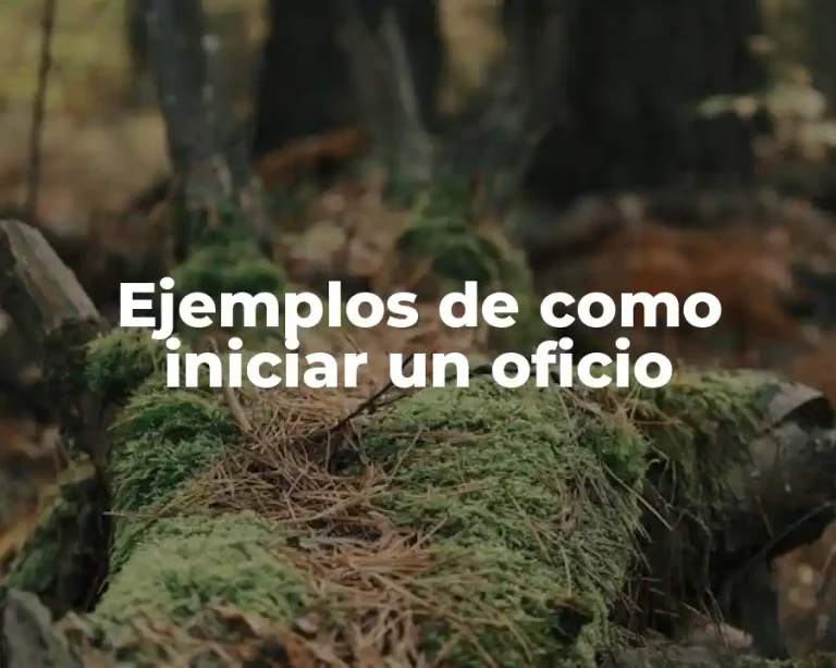 Ejemplos de como iniciar un oficio