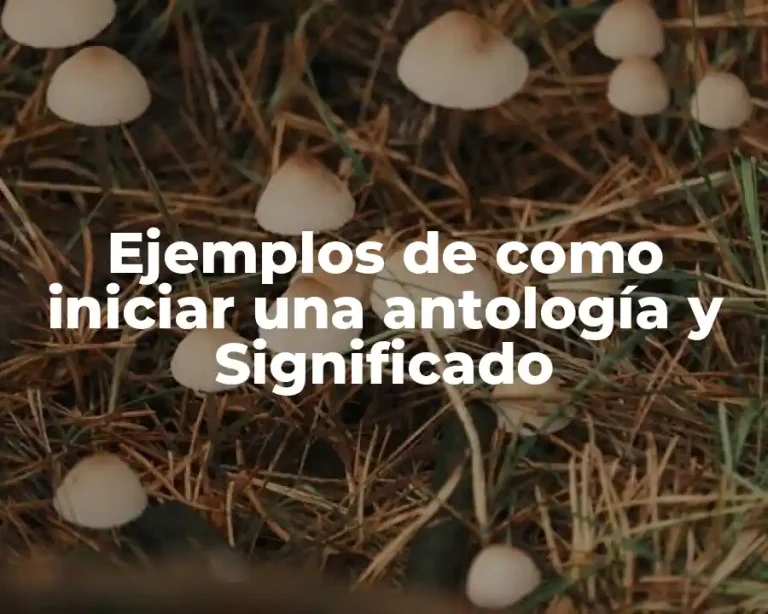 Ejemplos de como iniciar una antología y Significado