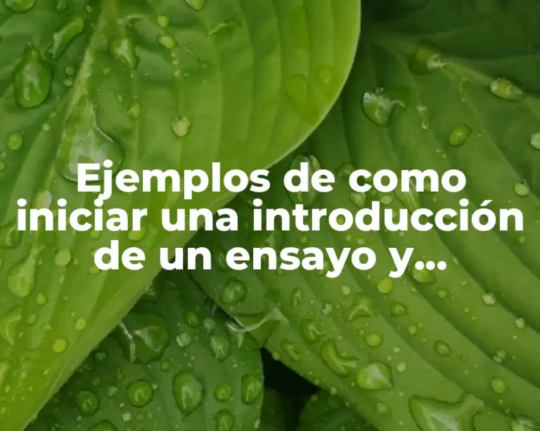 Ejemplos de como iniciar una introducción de un ensayo y Significado