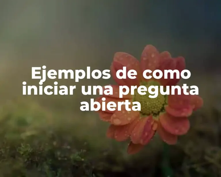 Ejemplos de como iniciar una pregunta abierta