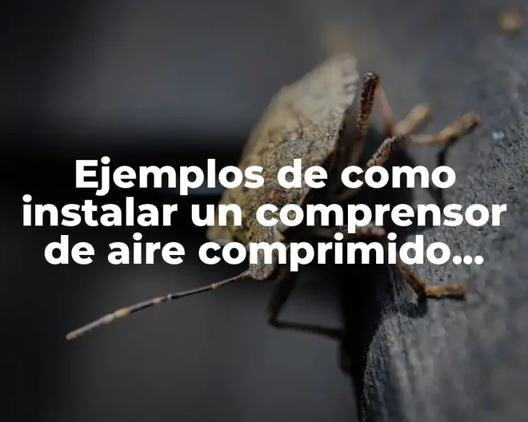 Ejemplos de como instalar un comprensor de aire comprimido vertical