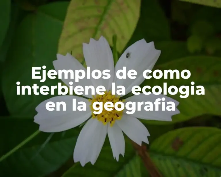 Ejemplos de como interbiene la ecologia en la geografia