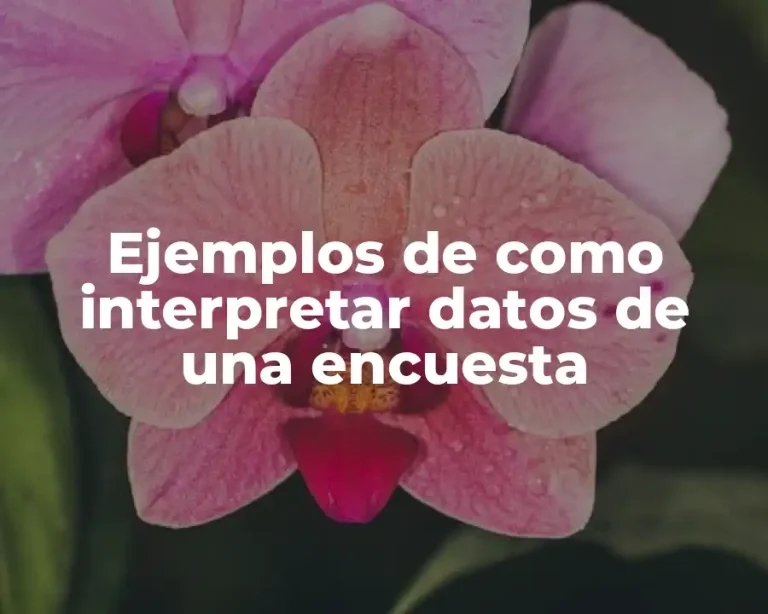 Ejemplos de como interpretar datos de una encuesta