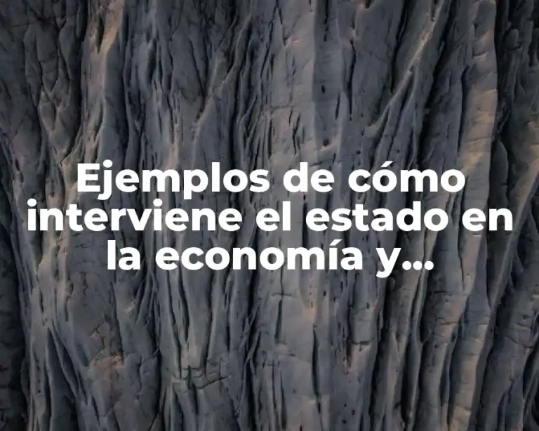 Ejemplos de cómo interviene el estado en la economía y Significado