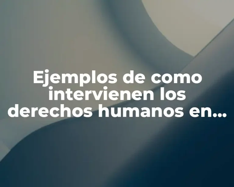 Ejemplos de como intervienen los derechos humanos en una empresa