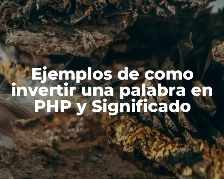 Ejemplos de como invertir una palabra en PHP y Significado
