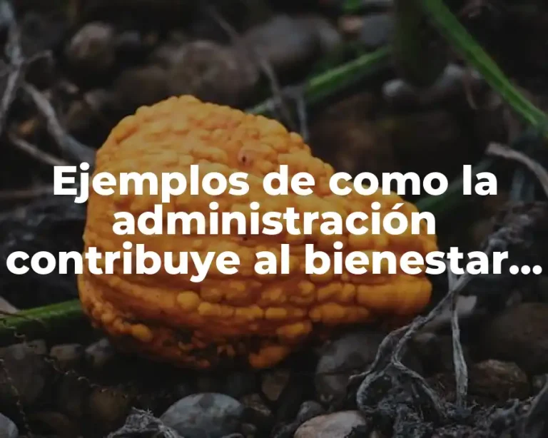 Ejemplos de como la administración contribuye al bienestar social
