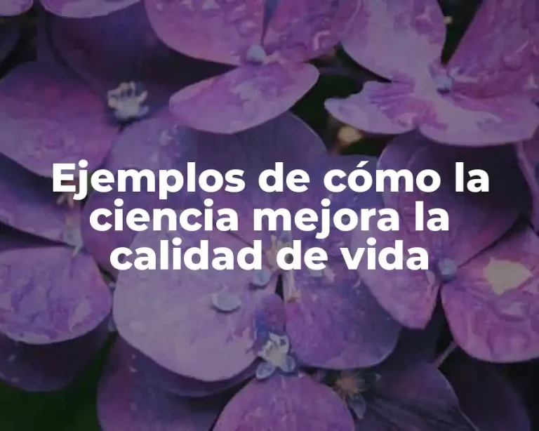 Ejemplos de cómo la ciencia mejora la calidad de vida