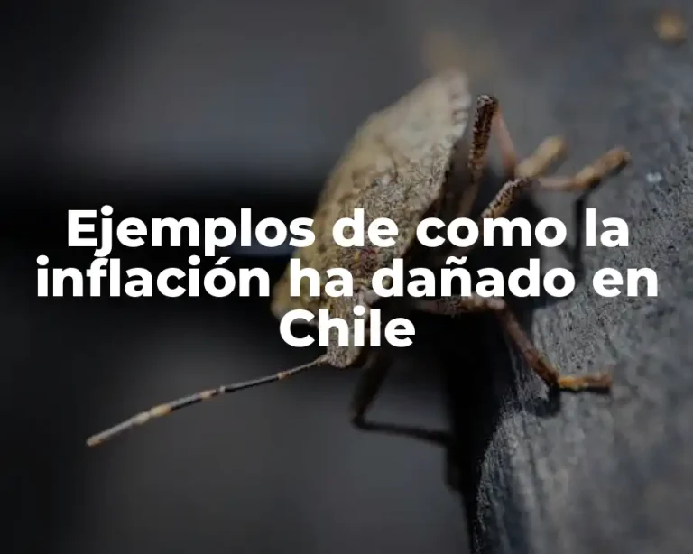 Ejemplos de como la inflación ha dañado en Chile
