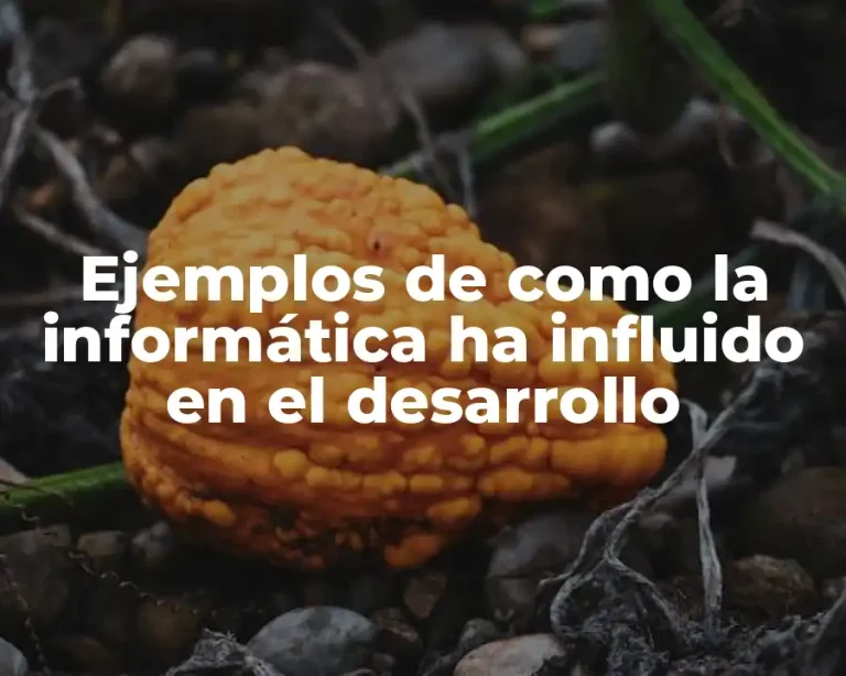Ejemplos de como la informática ha influido en el desarrollo