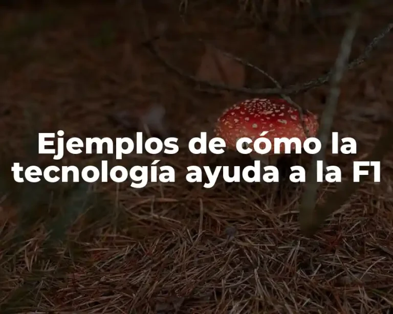 Ejemplos de cómo la tecnología ayuda a la F1