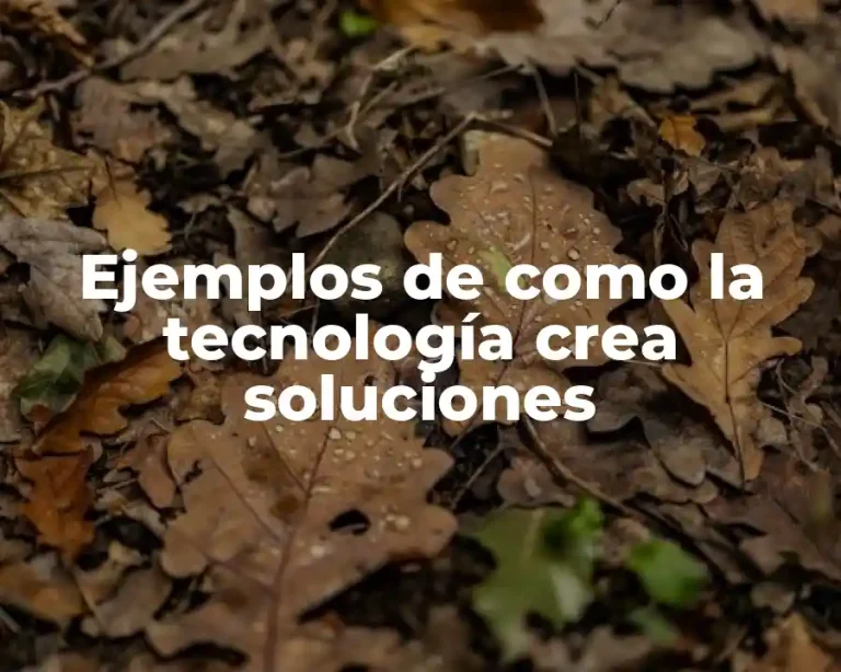 Ejemplos de como la tecnología crea soluciones